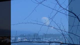 CAETANO VELOSO - LUA E ESTRELA*