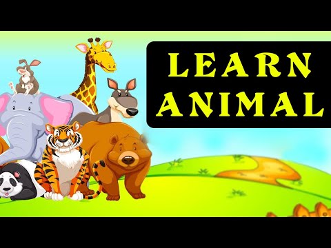 A to Z animals name-Learn animals name with spelling-Animals name for kids learning