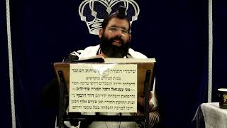 דף היומי עבודה זרה דף ל"ו ע"ב ¤ הרב נתנאל אברז'ל ¤ בית הכנסת "בית מרדכי" (מוסדות תורת דוד) - התמונה מוצגת ישירות מתוך אתר האינטרנט יוטיוב. זכויות היוצרים בתמונה שייכות ליוצרה. קישור קרדיט למקור התוכן נמצא בתוך דף הסרטון