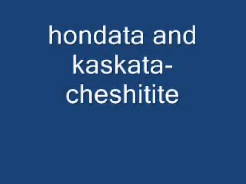 kaskata i hondata-cheshitite