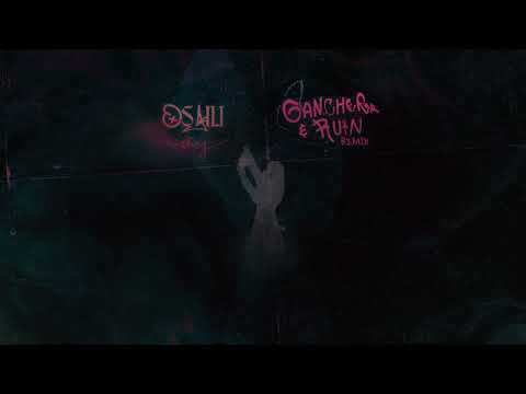 Osaili - Ay (Gancher & Ruin Remix) Lyrics Video