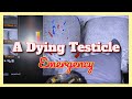 We Saved His Dying Testicle In 10 Seconds