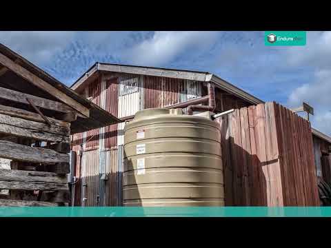 How to Prevent and Remove Algae from Your Water Tanks in 3 Easy Steps