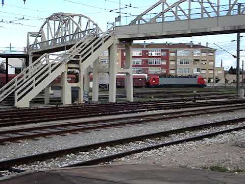 Comboio Especial n.º 95243 - Entroncamento