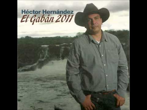 La Catira de los Reales Héctor Hernández (El Gabán)