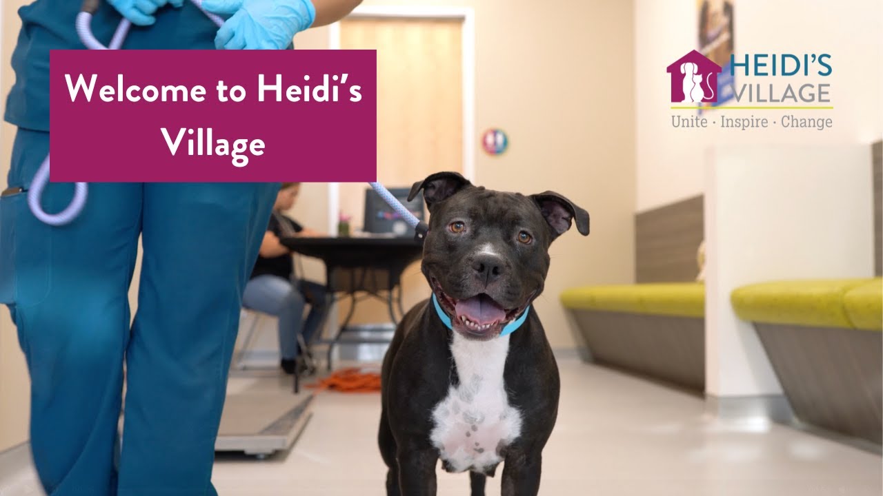 Preview of the Heidi's Village campus tour video