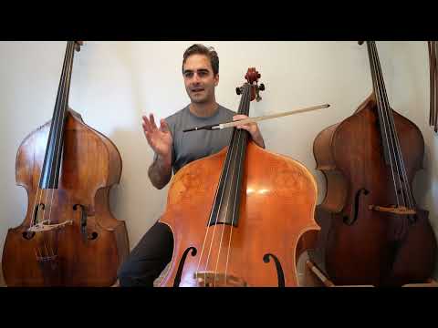 TWI #1 - Video 3 - Bow Strokes: Building Legato into Spiccato - Tonebase Bass Community