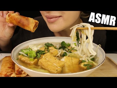 ASMR UDON NOODLES SOUP w/ TOFU + SPRING ROLLS |...