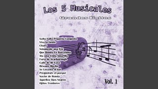 Salta Salta Pequeña Langosta