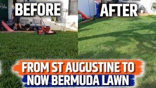 Lawn Transformation going from St Augustine to Bermuda Grass