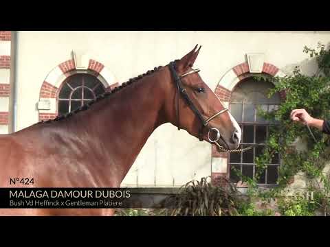 MALAGA DAMOUR DUBOIS