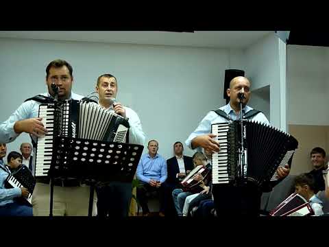 IATA  DOMNUL  FRATE  LA  INIMA  ITI  BATE  -----  DAVID  SI  PRIETENII