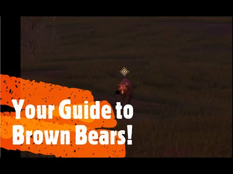 Your Guide to Brown Bears! Quick and Simple Hunting Info - Hunting Simulator 2