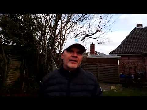 ZTE Blade V30 Vita | Testvideo in Full-HD mit 30 Bildern pro Sekunde