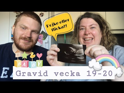 Tjock och Gravid vecka 19-20. Dags för rutinultraljud!