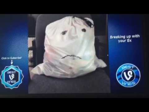 BEST Marlon Webb Vines with Titles!-Marlon Webb Vine compilations 2016 BEST VINES