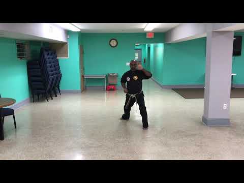 Johnny Houston - Wado Ryu - TKD - Shahogun