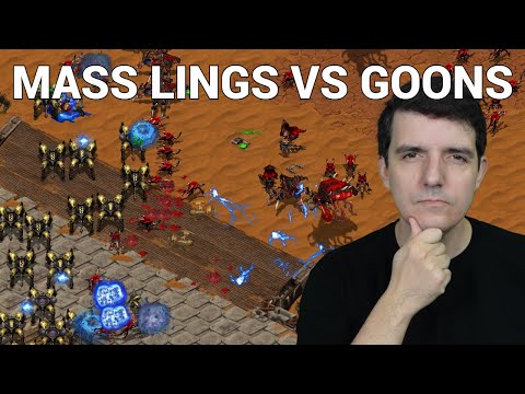 StarCraft 1: HOW GOOD ARE ZERGLINGS? - Paralyze vs Absolute | CNSL 5