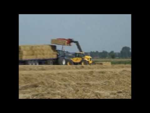 Goemaere G. (Polien): Grootpakpersen.