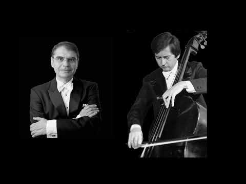 Karl Ditters von Dittersdorf -- Sinfonia Concertante in D major for Viola, Double Bass and Orchestra