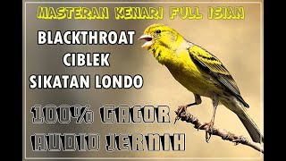 Download lagu MASTERAN KENARI ISIAN BLACKTHROAT, CIBLEK DAN SIKATAN LONDO FULL MEWAH PARA JAWARANYA JAWARA mp3
