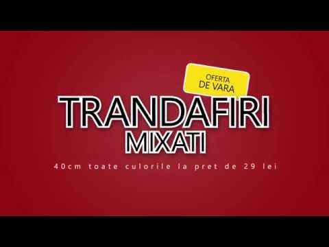 Online Floraria www.emotii.md - cu Promotia Fierbinte de Vara !!!