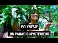 Polynésie, d'îles en îles - Un paradis sur terre - Documentaire voyage - AMP