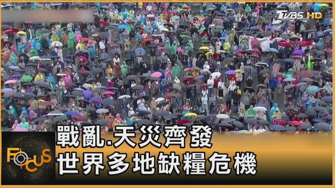 戰亂.天災齊發 阿根廷.埃及.加薩都缺糧