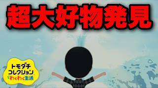 【実況】ついに超大好物を発見！？住人が大歓喜する神回ｗ｜トモダチコレクション わくわく生活 実況プレイ【Tomodachi Life Living The Dream】