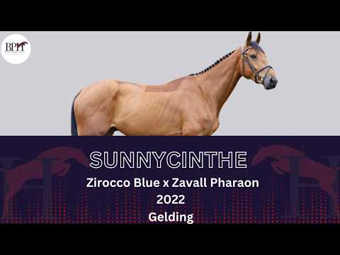 Sunnycinthe
