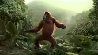 I Like To Move It - Monkey Dance