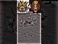 Pitbull Dog Vs Tiger King Shorts Shortsvideo Youtubeshorts