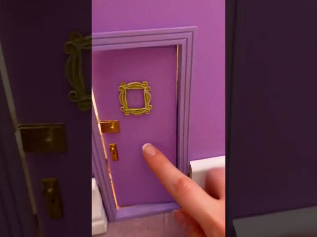 Vídeo relacionado con TUBBZ Mini: Friends - Monica Geller Figura Mini Coleccionable de Pato de Goma Disfrazado