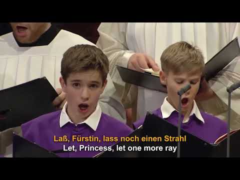 Bach - Lass, Fürstin, lass noch einen Strahl, 'Trauerode' BWV 198(1) | Tölzer Knabenchor