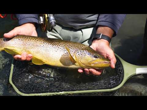 How To Fish A Naked Nymph