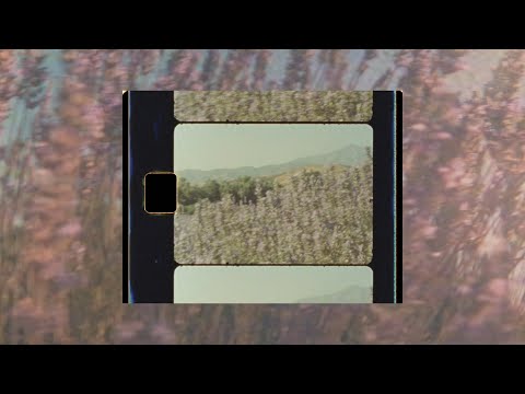 Jake Scott  - It's Gonna Be You (Visualizer)