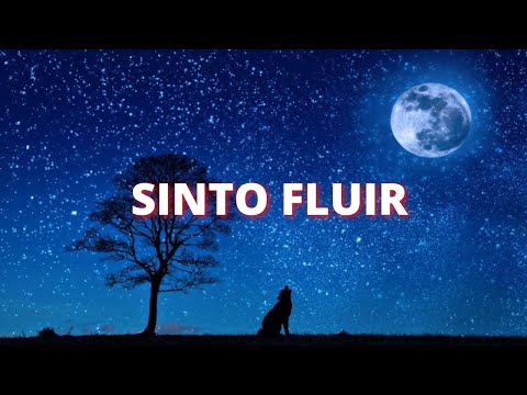 1 HORA DE FUNDO MUSICAL-  SINTO FLUIR - INSTRUMENTAL -ORAÇÃO - CASA WORSHIP-  REPROGRAMACAOX