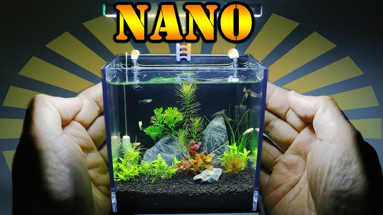 Magia NANO AKWARIUM💦 jakie ryby jakie rośliny