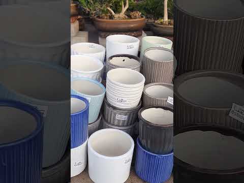 Beautiful Ceramic Planters/ Ceramic Pots #shorts #ytshorts #youtubeshorts #shortsvideo