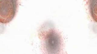 Brian Eno H Budd The Plateaux of Mirror An arc of doves