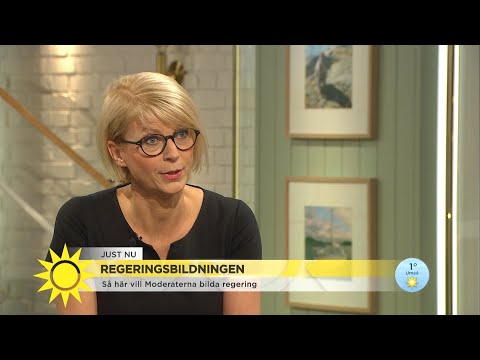 M:s vice ordförande: ”Vi behöver inte hålla i Annie Lööf”  - Nyhetsmorgon (TV4)
