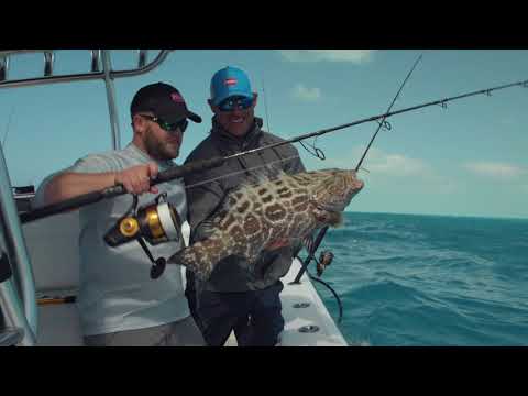 PENN - Navijak Spinfisher VI 4500