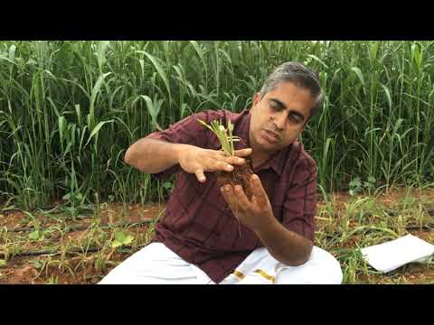 Learn Organic Farming With Shankar Episode 1 Buying Land 1 2