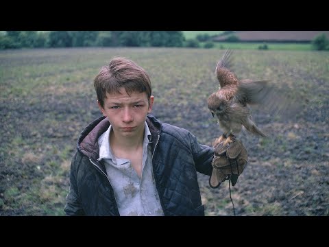 Official Trailer - KES (1969, David Bradley, Brian Flover, Ken Loach)