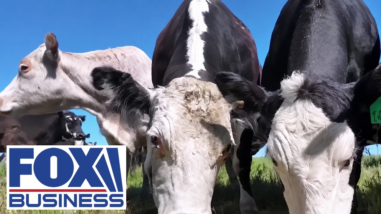 BEEF SHOCK: Rancher REVEALS what must happen before beef prices finally fall