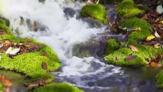 Joni Mitchell - This Place