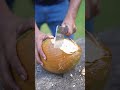 What S Inside This Coconut Will Surprise You