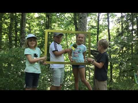 Baumartenpfad Leibertingen - BERGAHORN für Kinder