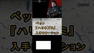 【Crimson Desert 紅の砂漠】ペット 『ハリネズミ』 の入手方法について紹介 #紅の砂漠 #CrimsonDesert #紅の砂漠攻略 #アクションRPG
