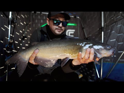 Ice Fishing Channel Cats | CATCH & COOK!